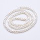 Natural Cultured Freshwater Pearl Beads Strands PEAR-F004-65-2
