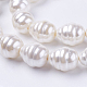 Shell Pearl Beads Strands BSHE-L035-D01-1