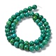 Natural Howlite Beads Strands G-E604-B05-B-3