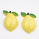 Resin Cabochons CRES-S358-16-1