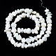 Chapelets de perles de coquille de trochid / trochus coquille SSHEL-N034-78-A01-2