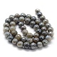 Natural Labradorite Beads Strands G-P385-01-8mm-2