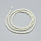 Natural White Shell Beads Strands G-A177-04-25-2