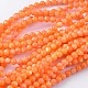 Natural Shell Beads Strands PRS002Y-1