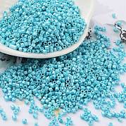 Выпечка краска стеклянные бусины SEED-S042-15B-34