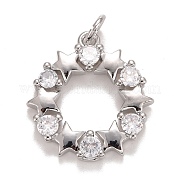 Кубического циркония подвески KK-E275-19P