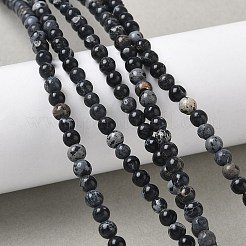 Brins de perles de jaspe impérial/régalite naturelle teintée/jaspe sédimentaire marin&nbsp;G-B124-C05-05