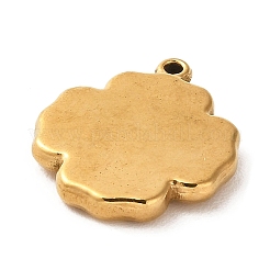 Colgantes de acero inoxidable 304&nbsp;STAS-F298-02