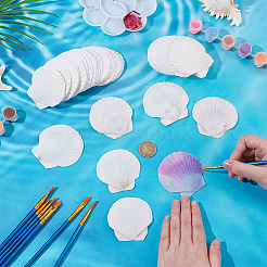 80 Stück natürliche Muschelornamente&nbsp;DIY-WA0001-03