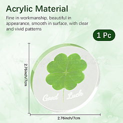 Acryl Cabochons&nbsp;OACR-WH20008-02