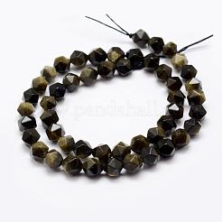 Natürliche goldenen Glanz Obsidian Perlen Stränge&nbsp;G-K209-02I-6mm