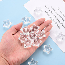 Transparente Acryl Perlen&nbsp;X-TACR-ZX018-02