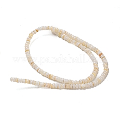 Tinti d'acqua dolce naturale perline shell fili&nbsp;BSHE-G039-07N