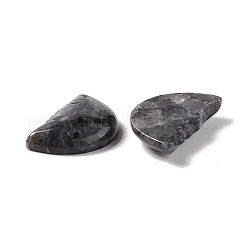 Cabochon di larvikite naturale&nbsp;G-E579-02J