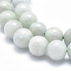 Perles de jadéite naturel brins&nbsp;G-M353-A10-8mm