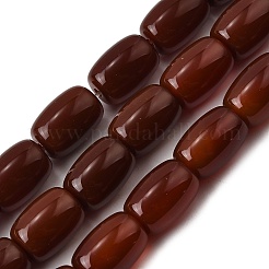 Natürlichen Karneol-Perlen Stränge&nbsp;G-F801-G01-01