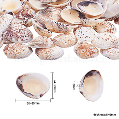 1 Box Jakobsmuschel Muscheln Muschel gefärbte Perlen mit Löchern für Bastelarbeiten 40-50ST&nbsp;BSHE-YW0001-01
