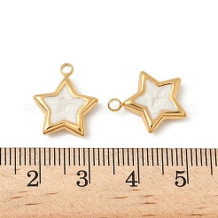 304 Edelstahl-Emaille-Anhänger&nbsp;STAS-V015-37G