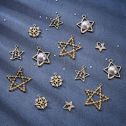 40 Stück 5 Style Legierungsanhänger&nbsp;FIND-PH0004-11