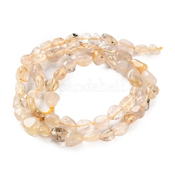 Natürlichen Gold Rutilquarz Perlen Stränge&nbsp;G-P497-01C-33