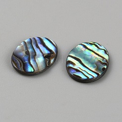 Paua naturel cabochons shell&nbsp;FIND-WH0110-868