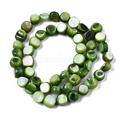 Naturali di acqua dolce perline shell fili&nbsp;SHEL-S276-110B-04