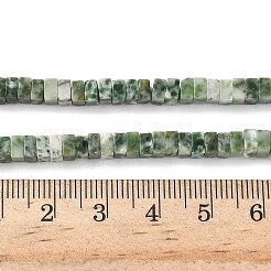 Natürliche grüne Fleck Jaspis Perlen Stränge&nbsp;G-I394-A04
