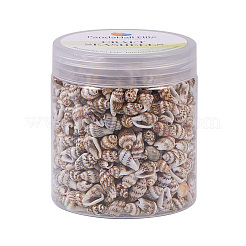 Naturspirale Muschelperlen&nbsp;SSHEL-PH0002-10