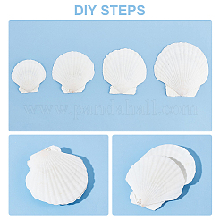 20 pièce de 4 coquilles Saint-Jacques naturelles de style&nbsp;SSHEL-PH0001-23