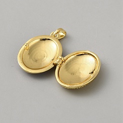 Pendentifs émaillés de médaillon en laiton&nbsp;LS-KK-CJC0014-09B