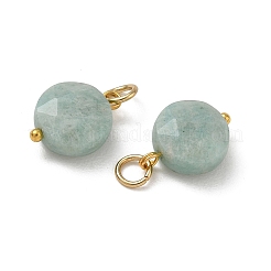 Ciondoli Amazonite naturale&nbsp;PALLOY-JF06034