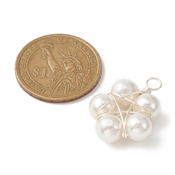 Muschelperlen-Kupferdraht umwickelte Anhänger&nbsp;PALLOY-JF02155-02