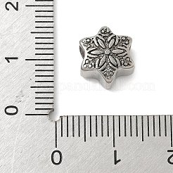 304 Edelstahl-Europäische Perlen&nbsp;STAS-S183-13AS-A