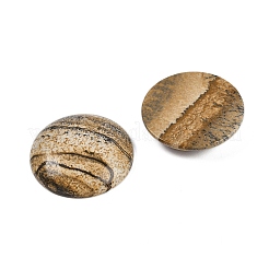 Natur Bildjaspisses cabochons&nbsp;G-H1596-FR-25mm-17