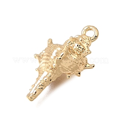 Messing Anhänger & Charms&nbsp;KK-CBA2395-12G