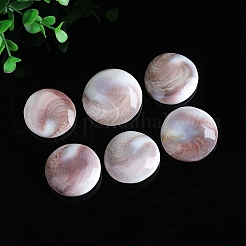 Natürliche Muschelschalen runde Dekorationen&nbsp;PW-WG89460-01