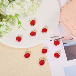 12pcs pendentifs en émail en alliage&nbsp;FIND-CA0009-59