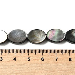 Naturel noir à lèvres shell perles brins&nbsp;BSHE-D300-02-10x14mm