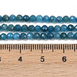 Chapelets de perles en apatite naturelle&nbsp;G-E411-36-3mm-01