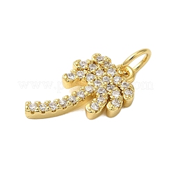 Porte micro ouvrent pendentifs zircone cubique en laiton de placage&nbsp;KK-P279-09G