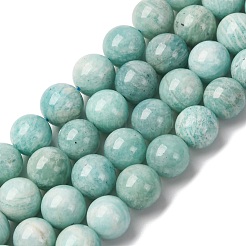 Fili di perline amazonite naturale&nbsp;LS-G-K068-03-10mmA