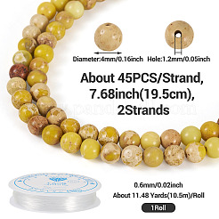 Kit fai da te per realizzare braccialetti con perline di regalite naturale/diaspro imperiale/diaspro sedimentario marino&nbsp;DIY-TA0002-69E