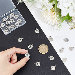 24 pièce 6 styles breloques en acier inoxydable 304&nbsp;STAS-UN0048-62