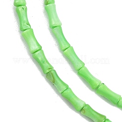 Naturali di acqua dolce perline shell fili&nbsp;SHEL-G013-01E