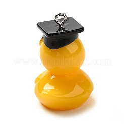 Colgantes de resina con tema de graduación&nbsp;RESI-R442-02