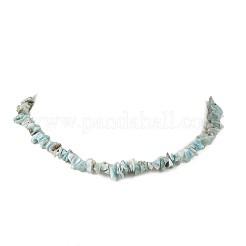 Colliers en perles de larimar naturel avec chaînes d'extrémité en acier inoxydable 304&nbsp;NJEW-JN06662