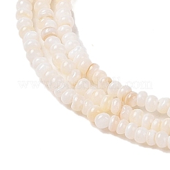 Eau douce naturelle de coquillage perles brins&nbsp;SHEL-P017-01A-02