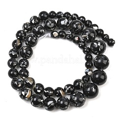 Stränge aus synthetischem Türkis und Muscheln&nbsp;GG-CBA2AE1-A07-F