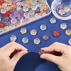 100pcs cuentas de acrílico transparente&nbsp;TACR-CJ0001-72