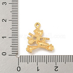 Pendentifs en acier inoxydable 304 avec placage ionique (IP)&nbsp;STAS-N103-145G